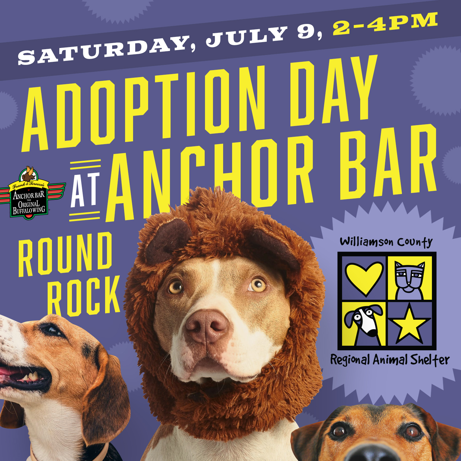 Graphic for the Anchor Bark Event